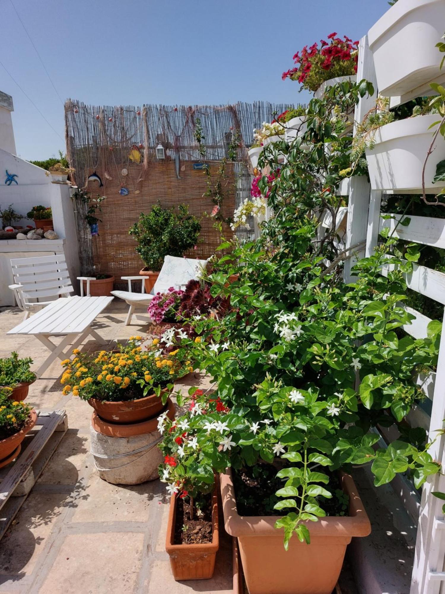 MandorleOlio Bed and Breakfast Polignano a Mare Buitenkant foto
