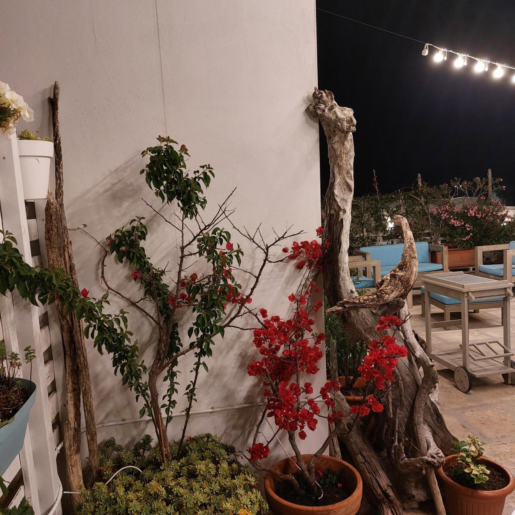 MandorleOlio Bed and Breakfast Polignano a Mare Buitenkant foto